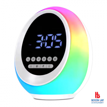 Computer Accessories